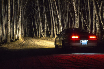 white sports car on a country road, in a night birch forest