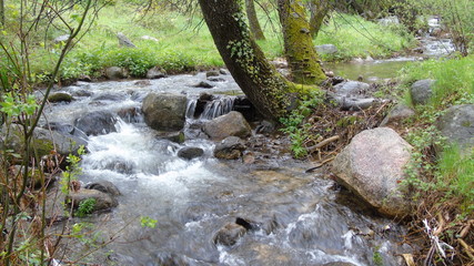 Arroyo de la Gargantilla en la reserva natural de la Maliciosa Madrid