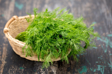 bunch of dill on the dark