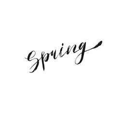 Fototapeta na wymiar Hand drawn vector ink brush graphic handwritten Spring calligraphy lettering text isolated on white background.Spring time concept