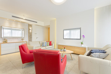 Living Room With Leather Furniture, Red Armchair And Television, Home Renovation