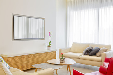Living Room With Leather Furniture, Red Armchair And Television, Home Renovation