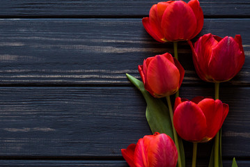 Fototapeta premium red tulips on a black table