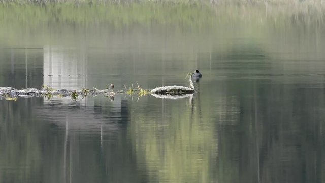 magia del biotopo