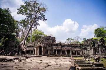 Obraz premium Angkor Wat