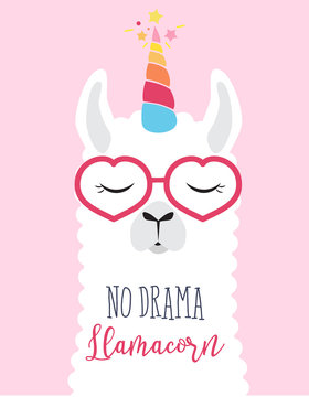 Fototapeta Cute fluffy unicorn llama (alpaca)