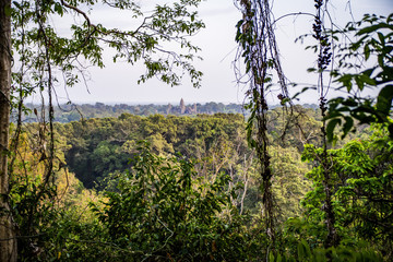 Fototapeta premium Angkor Wat