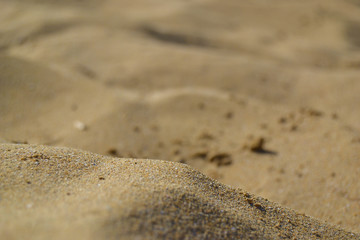 Fototapeta na wymiar Sand beach 
