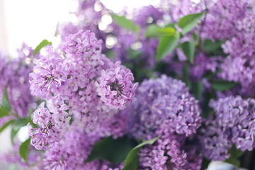 Vase with spring violet lilac flowers