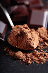 Broken chocolate pieces and cocoa powder.