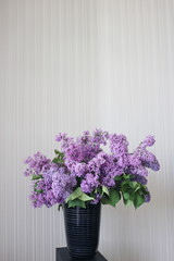 Vase with spring violet lilac flowers