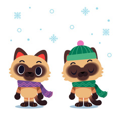 Vector cat characters wearing scarf and winter hat isolated on white background