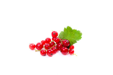 Red currant berry isolated on white. A bunch of red currant..