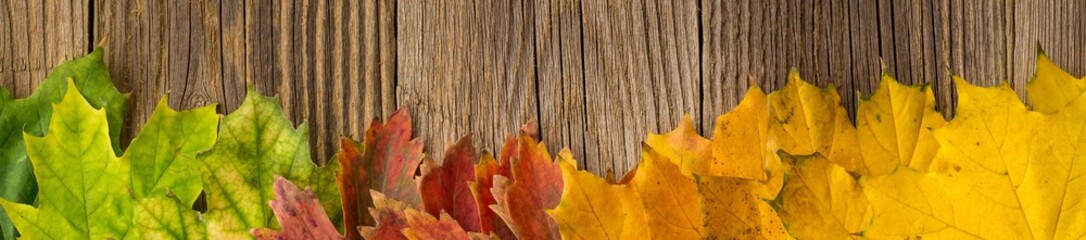 Banner of Autumn Time Background, Some fall leaves on weathered wood with copy space for your text