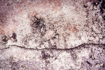 Fototapeta premium grunge crack wall texture background