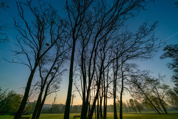 Fototapeta na wymiar Sunrise in urban park. Early morning