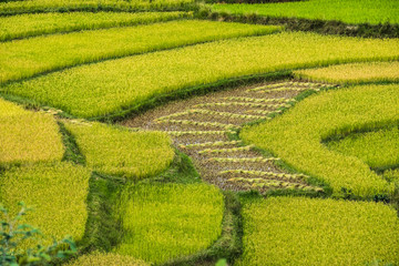 Rice terraces and Merina villages along the National Route 7 South of Tananarivo, Madagascar