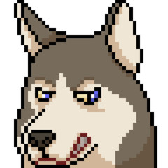 Obraz premium vector pixel art husky face expression