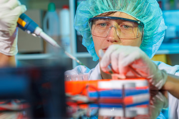 female technician in laboratory research of cancer diseases