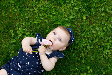 Adorable baby girl on grass with strawberries six moths © Irina Schmidt
