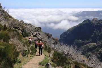 Obraz premium en randonnant au pico Ruivo , Madère