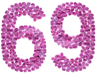 Arabic numeral 69, sixty nine, from flowers of lilac, isolated on white background