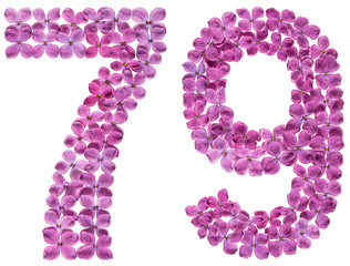 Arabic numeral 79, seventy nine, from flowers of lilac, isolated on white background