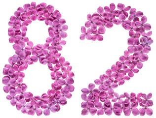 Arabic numeral 82, eighty two, from flowers of lilac, isolated on white background