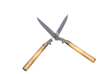 Old grass shears with wooden handle isolated on white background
