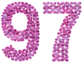 Arabic numeral 97, ninety seven, from flowers of lilac, isolated on white background