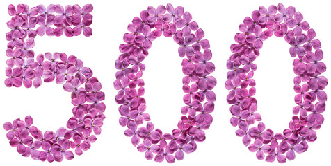 Arabic numeral 500, five hundred, from flowers of lilac, isolated on white background