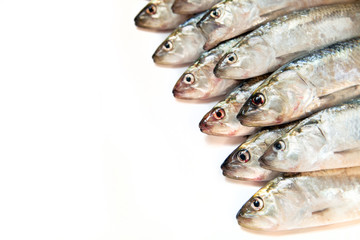 Fresh fish on a white background