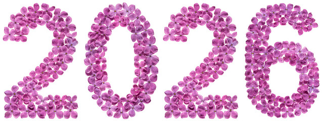 Numeral 2026 from flowers of lilac, isolated on white background