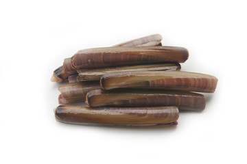 Fresh Razor clams isoletd on white background