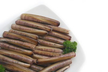 Fresh Razor clams on a plate with parsley isoletd on white background