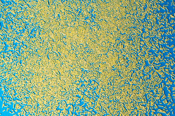 confectionery sprinkles yellow sugar grains on a blue background.