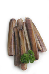 Fresh Razor clams with parsley isoletd on white background