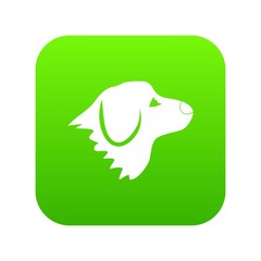 Retriever dog icon digital green for any design isolated on white vector illustration