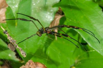  Magnificent and mysterious macro world