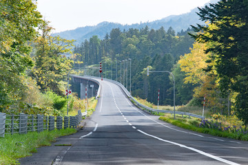 北海道のワインディングロード / 夏のドライブ