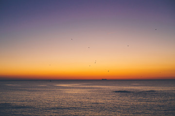 An amazing sky under the ocean and birds