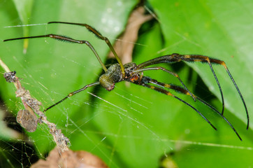  Magnificent and mysterious macro world