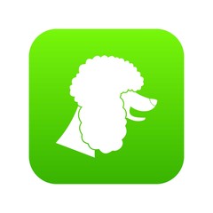 Poodle dog icon digital green for any design isolated on white vector illustration