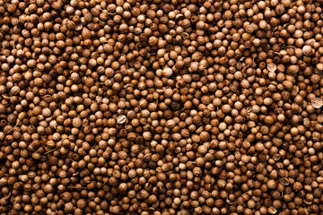 coriander seeds on a dark stone background, essential oil