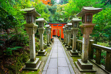 Naklejka premium Senbon Torii at Fushimi Inari Shrine.