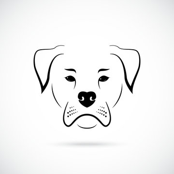 Dog American bulldog on white background. Dog icon for your design.