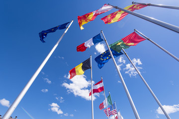 Rows of European flags and flags of the World countries