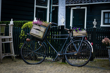 Fototapeta na wymiar Old bicycle as a creative decoration
