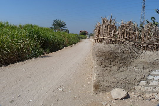 Feldweg in der Niloase in Ober&auml;gypten.