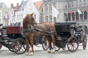 Fototapeta na wymiar Traditional Horse and Cart, Brugge Belgium
